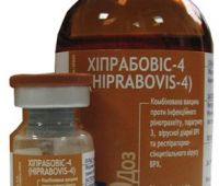 Хипробовис-4