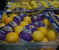Лимоны, 54-70, Турция,