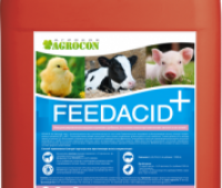 FEEDACID plus - кормовая добавка, содержащая смесь органических кислот и их солей