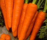 Морковь из Ирана