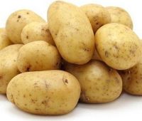 Картофель продовольственный- сетевое качество