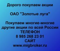Покупаем акции ОАО Золотые луга