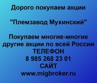 Покупаем акции «Племзавод Мухинский»