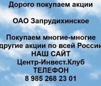 Покупаем акции ОАО Запрудихинское