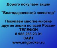 Покупаем акции ОАО Благодарненский элеватор