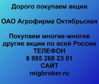 Покупка акций Агрофирма Октябрьская