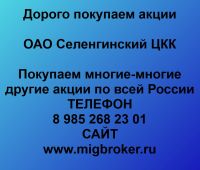 Покупаем акции ОАО Селенгинский ЦКК