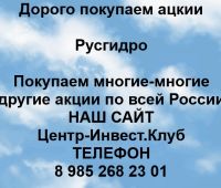 Покупаем акции Русгидро