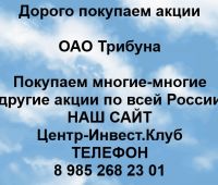 Покупаем акции ОАО Трибуна