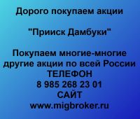 Покупка акций Прииск Дамбуки