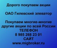 Покупаем акции ОАО Гилевский элеватор
