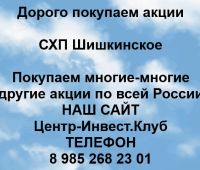 Покупаем акции СХП Шишкинское
