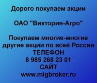 Покупаем акции ОАО Виктория Агро