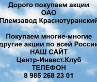 Покупаем акции ОАО Племзавод Краснотуранский и любые другие акции по всей России