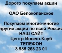 Покупаем акции ОАО Белокопанское