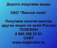 Покупка акций Ямское поле