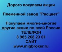 Покупаем акции ОАО Племенной завод Расцвет