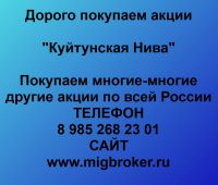 Покупаем акции ОАО Куйтунская Нива и любые другие акции по всей России