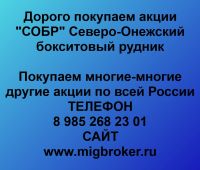 Покупаем акции Северо-Онежский бокситовый рудник